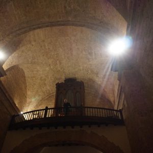 Itinerancia-ruspoli-201700005