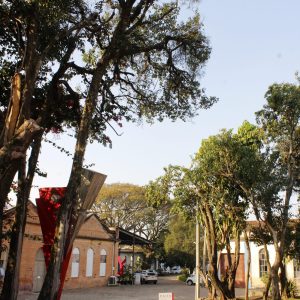 Itinerancia-ruspoli-2019-00051