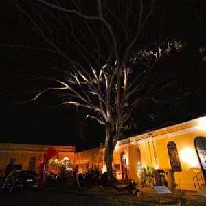 Orquestra_Sinfonia_Brasil-224